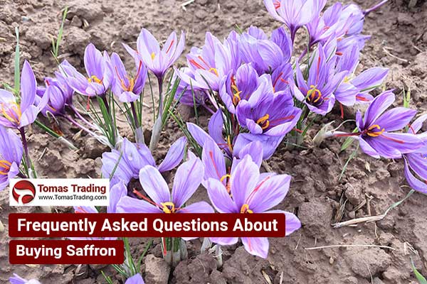 buy Saffron FAQ