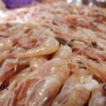 iran shrimp